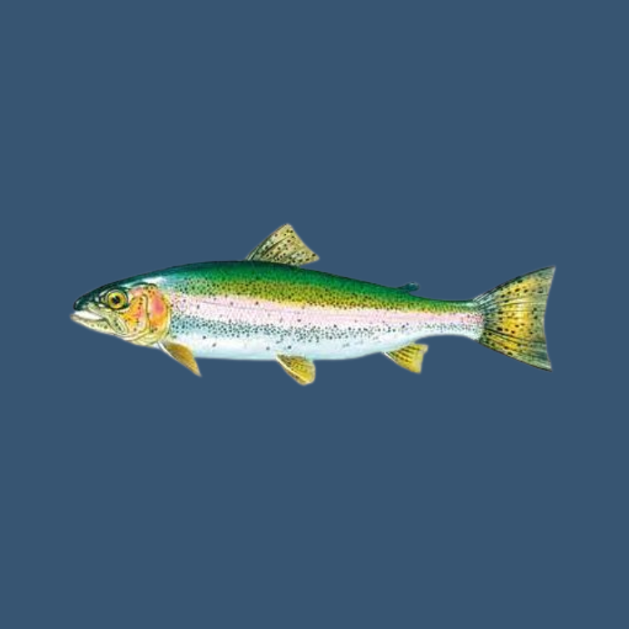peces de chiloe