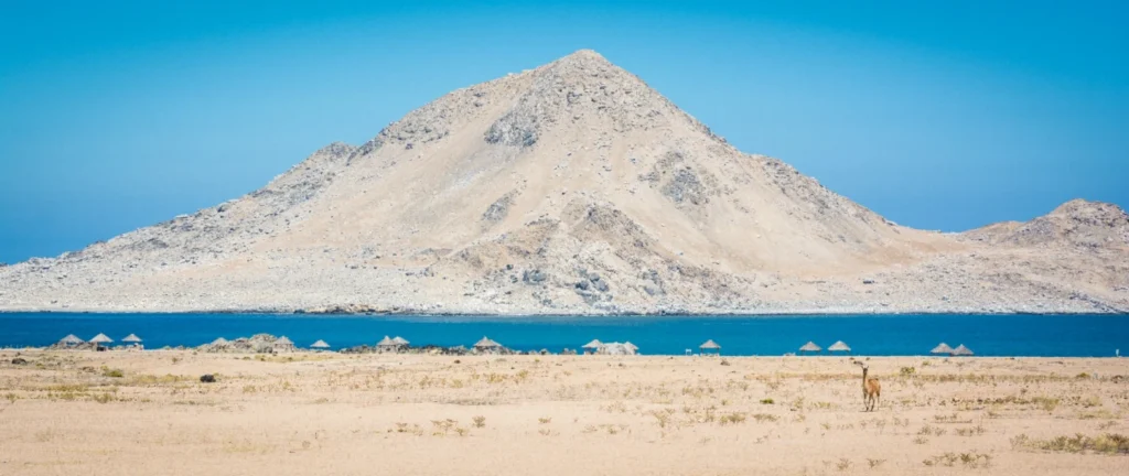 Parques de Atacama en 2 días: ruta por Desierto Florido y Llanos de Challe